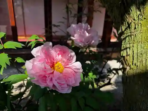 御霊神社(奈良県)