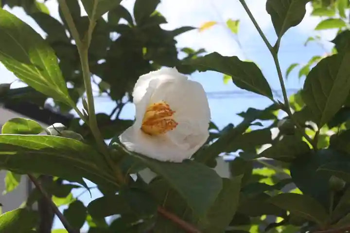 慈眼院(滋賀県)