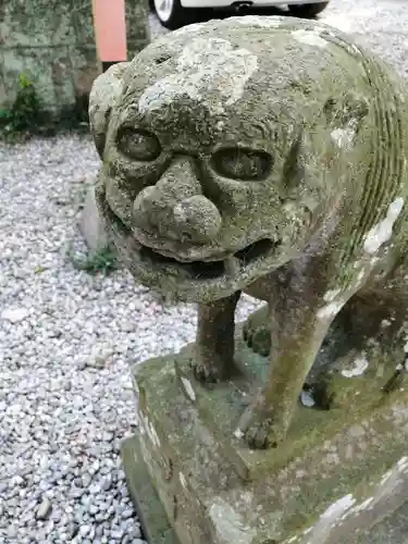 間々田八幡宮の狛犬