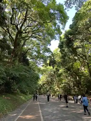 明治神宮(東京都)