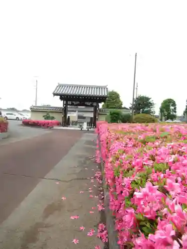 真光寺(千葉県)