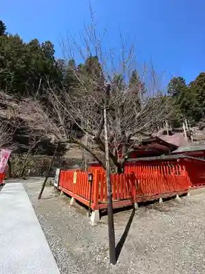 金櫻神社(山梨県)