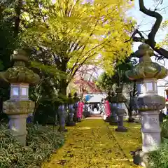 神炊館神社 ⁂奥州須賀川総鎮守⁂の景色