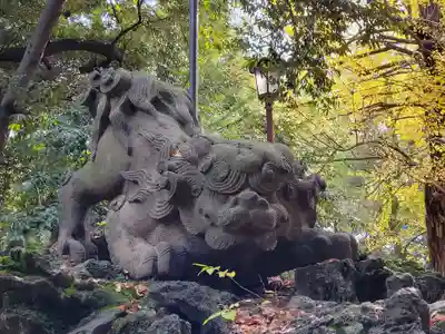 赤坂氷川神社の狛犬