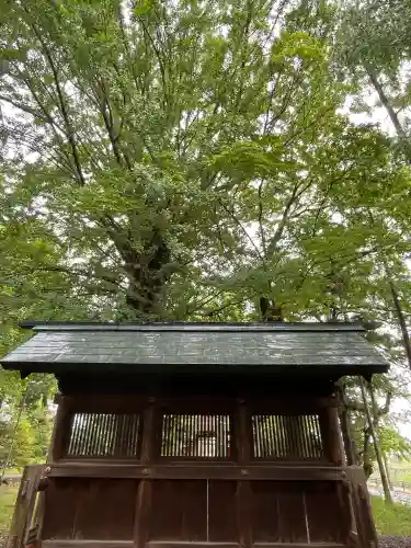 鞆江神社（明地）の{uncategorized: "未分類", other: "その他", undefined: "問題あり", building: "その他建物", grave: "お墓", sacred_gate: "鳥居", guardian: "狛犬", statue: "像", buddha: "仏像", history: "歴史", nature: "自然", garden: "庭園", animal: "動物", pagoda: "塔", temizu: "手水舎", mountain_gate: "山門・神門", sanctuary: "本殿・本堂", subordinate: "末社・摂社", art: "芸術", scenery: "景色", jizo: "地蔵", ema: "絵馬", goshuin: "御朱印", omikuji: "おみくじ", items: "授与品その他", amulet: "お守り", goshuincho: "御朱印帳", eats: "食事", festival: "お祭り", votive_dance: "神楽", shichigosan: "七五三参", wedding: "結婚式", experience: "体験その他", initially: "初詣", around: "周辺", anti_infection: "感染症対策"}