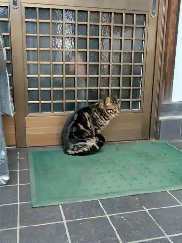 白山神社(東京都)