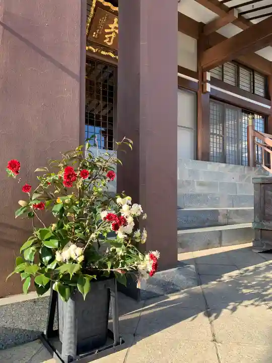 泉竜寺(乙女不動尊)の本殿・本堂