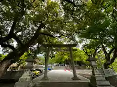 大麻比古神社(徳島県)