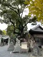須賀神社の自然