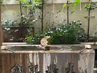 小野照崎神社(東京都)