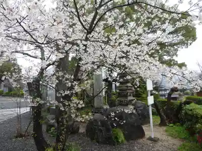 八坂寺(愛媛県)