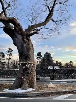 松本神社(長野県)