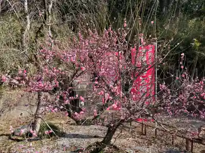 當選寺(埼玉県)