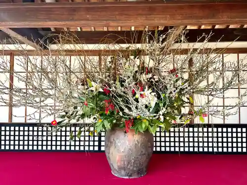 大覚寺(京都府)