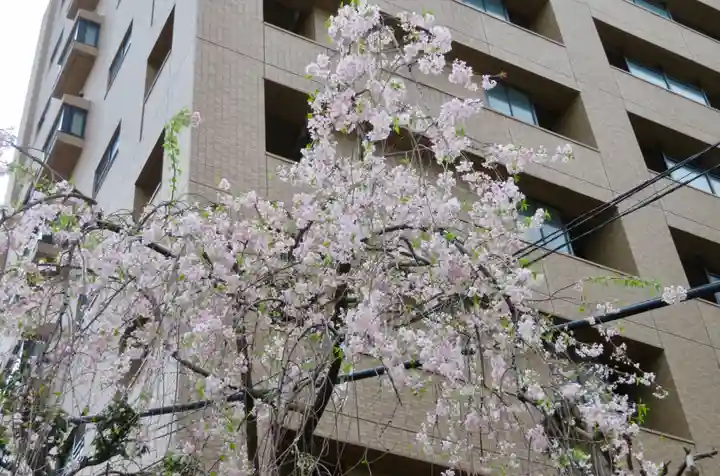秋葉神社の自然