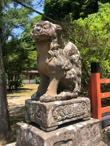 出石神社の狛犬