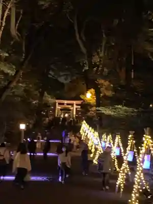 明治神宮のお祭り