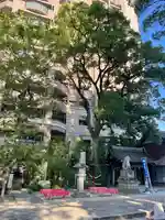 菅生神社(愛知県)