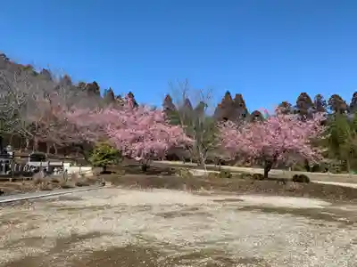 浄泉寺(千葉県)