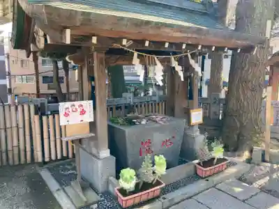 高円寺氷川神社(東京都)