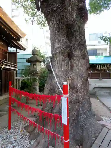 三輪神社の自然