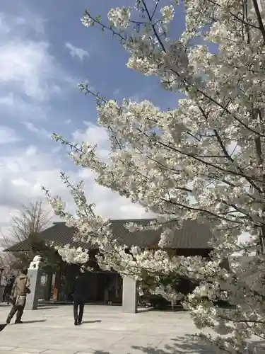 赤城神社の自然