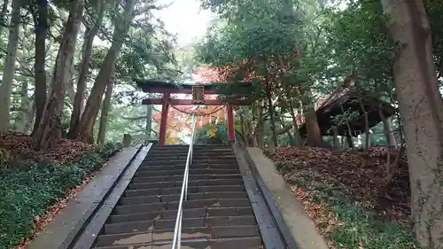 氷川女體神社の鳥居