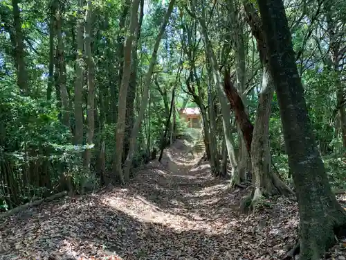 神明神社の自然