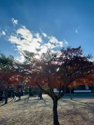 京都乃木神社(京都府)