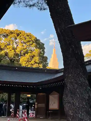 明治神宮(東京都)