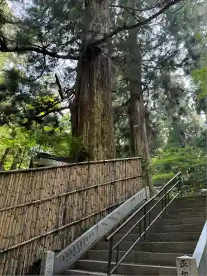 最乗寺（道了尊）(神奈川県)