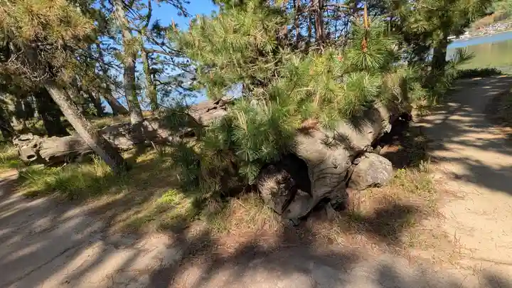 天橋立神社(京都府)
