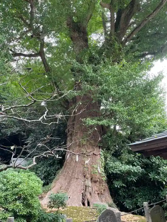 荏柄天神社(神奈川県)