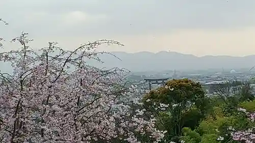 大神神社の景色