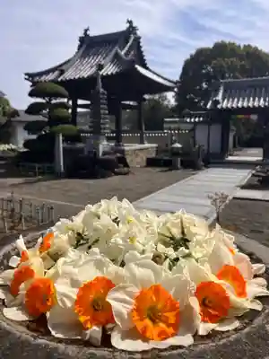 真言宗　善通寺派　薬王寺(香川県)