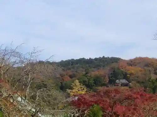 東慶寺の景色