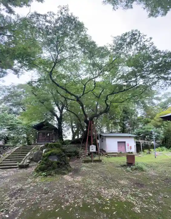 熊野神社(群馬県)