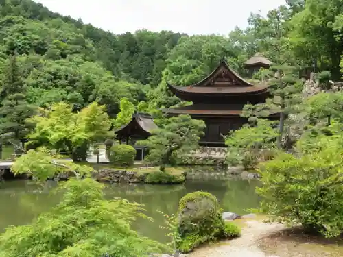 永保寺の庭園