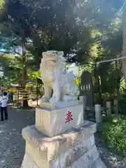 菊田神社の狛犬