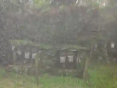 出石寺(愛媛県)