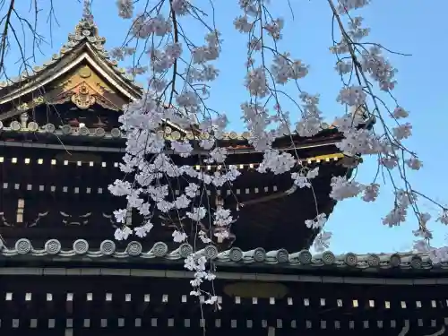 今熊野観音寺(京都府)