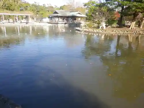 鶴岡八幡宮の庭園