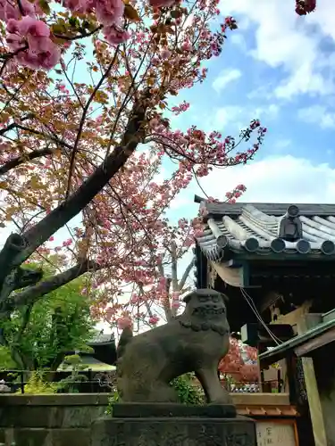 荘厳寺の狛犬