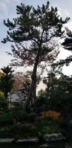 大鷲神社の自然