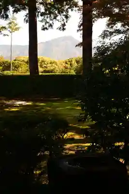 圓通寺(京都府)