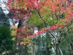 金剛輪寺(滋賀県)