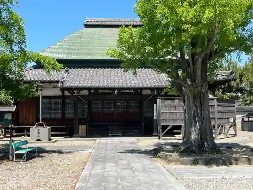 称名寺 東照殿の{uncategorized: "未分類", other: "その他", undefined: "問題あり", building: "その他建物", grave: "お墓", sacred_gate: "鳥居", guardian: "狛犬", statue: "像", buddha: "仏像", history: "歴史", nature: "自然", garden: "庭園", animal: "動物", pagoda: "塔", temizu: "手水舎", mountain_gate: "山門・神門", sanctuary: "本殿・本堂", subordinate: "末社・摂社", art: "芸術", scenery: "景色", jizo: "地蔵", ema: "絵馬", goshuin: "御朱印", omikuji: "おみくじ", items: "授与品その他", amulet: "お守り", goshuincho: "御朱印帳", eats: "食事", festival: "お祭り", votive_dance: "神楽", shichigosan: "七五三参", wedding: "結婚式", experience: "体験その他", initially: "初詣", around: "周辺", anti_infection: "感染症対策"}