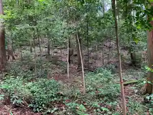 眞中神社の周辺(2022年06月08日(水) 23時25分46秒投稿)