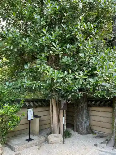 法起院(奈良県)