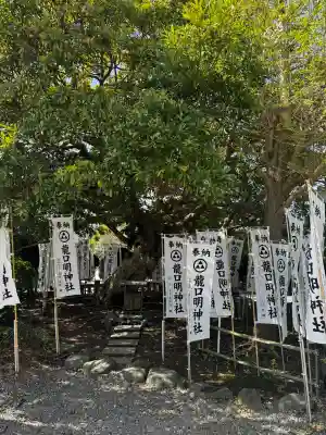 龍口明神社の{uncategorized: "未分類", other: "その他", undefined: "問題あり", building: "その他建物", grave: "お墓", sacred_gate: "鳥居", guardian: "狛犬", statue: "像", buddha: "仏像", history: "歴史", nature: "自然", garden: "庭園", animal: "動物", pagoda: "塔", temizu: "手水舎", mountain_gate: "山門・神門", sanctuary: "本殿・本堂", subordinate: "末社・摂社", art: "芸術", scenery: "景色", jizo: "地蔵", ema: "絵馬", goshuin: "御朱印", omikuji: "おみくじ", items: "授与品その他", amulet: "お守り", goshuincho: "御朱印帳", eats: "食事", festival: "お祭り", votive_dance: "神楽", shichigosan: "七五三参", wedding: "結婚式", experience: "体験その他", initially: "初詣", around: "周辺", anti_infection: "感染症対策"}